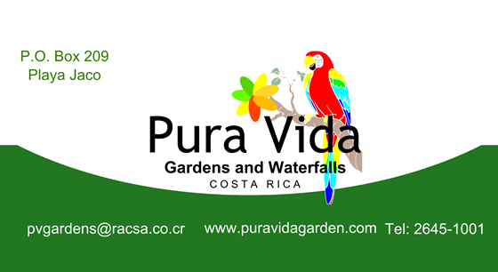 Print Advertisements: Pura Vida