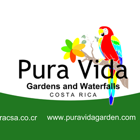 Print Advertisements: Pura Vida